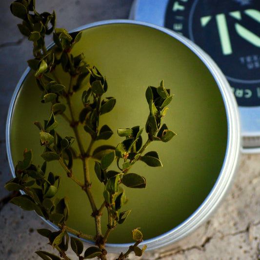 What Is Creosote Salve Good For?
